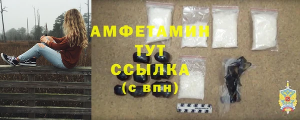 гашик Козловка