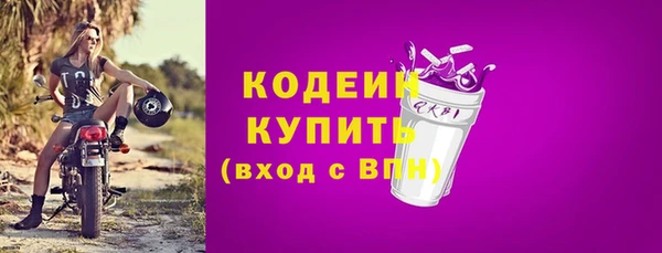 гашик Козловка