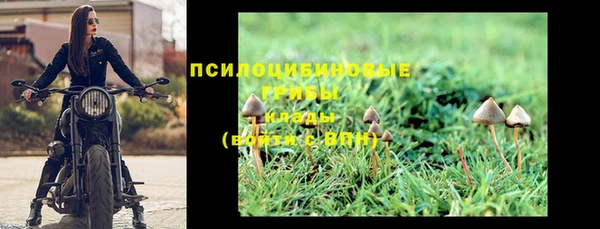 гашик Козловка