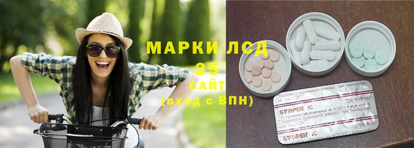 гашик Козловка