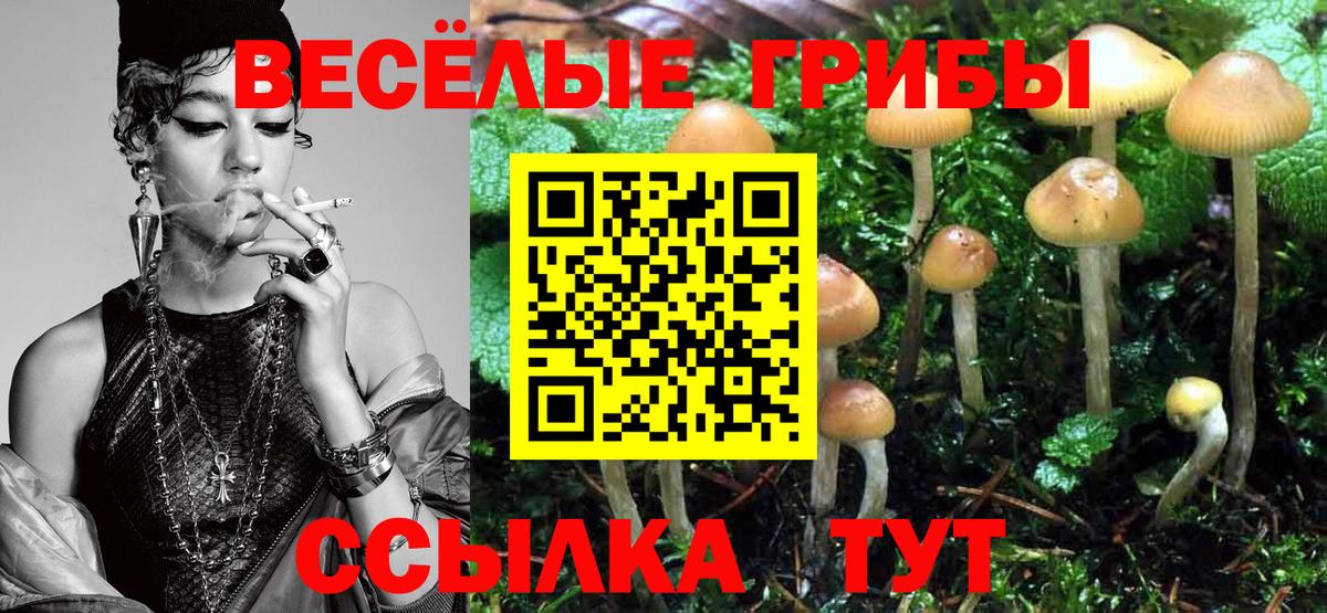 Галлюциногенные грибы Magic Shrooms Дятьково