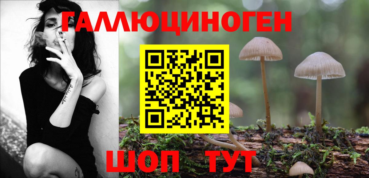 Дятьково  Галлюциногенные грибы MAGIC MUSHROOMS  закладка  Вход с VPN 