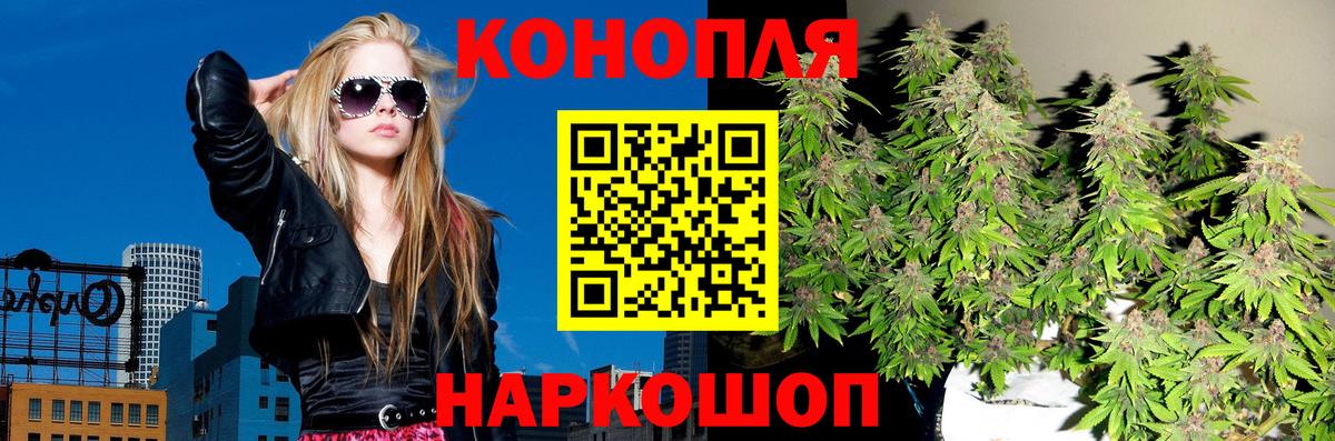 Конопля White Widow  Вход с VPN  Дятьково  Марихуана Amnesia  МАРИХУАНА White Widow 